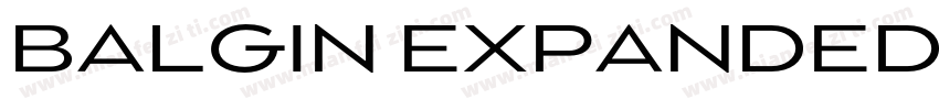 BALGIN EXPANDED字体转换